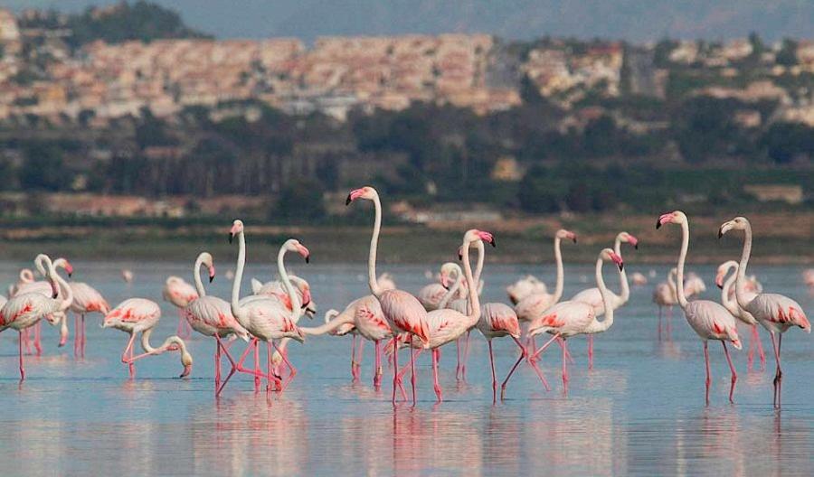 Апартаменты В Парковой Зоне С Видом На Море La Mata  Zewnętrze zdjęcie